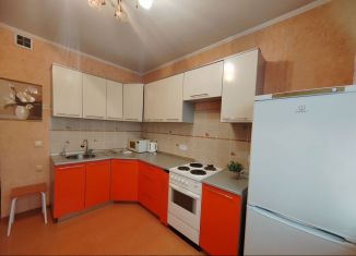 Сдам однокомнатную квартиру, 31 м2, Новосибирск, Рябиновая улица, 10/1, Октябрьский район