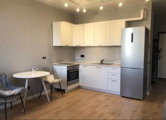 Сдам в аренду квартиру студию, 28 м2, Ростов-на-Дону, улица Нансена, 109/5