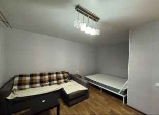 Сдам в аренду 1-ком. квартиру, 33 м2, Казань, улица Патриса Лумумбы, 54