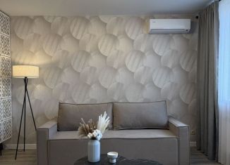 Сдаю в аренду 1-ком. квартиру, 45 м2, Татарстан, улица Адоратского, 1Б