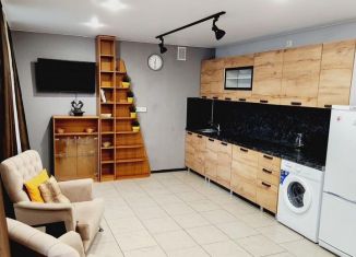 Сдам в аренду квартиру студию, 42 м2, Санкт-Петербург, проспект Авиаконструкторов, 38к1