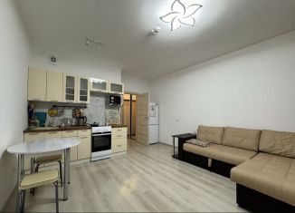 Квартира в аренду студия, 24 м2, Мурино, Ручьёвский проспект, ЖК Гринландия-2