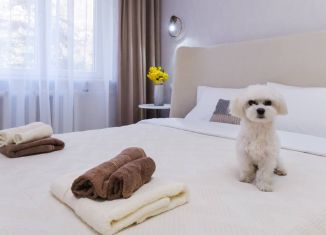 Аренда 1-комнатной квартиры, 45 м2, Сочи, Красноармейская улица, 19