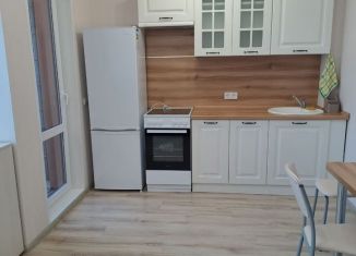 Квартира в аренду студия, 25 м2, Ижевск, улица Ленина, 97А