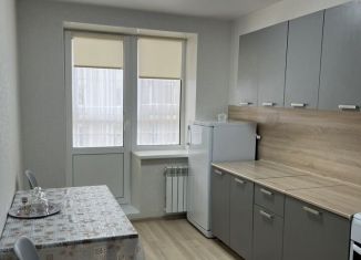 Сдам в аренду 1-ком. квартиру, 33.6 м2, Среднеуральск, улица Металлистов, 14