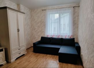 1-ком. квартира в аренду, 40 м2, Новосибирск, Красный проспект, 173/1, метро Заельцовская