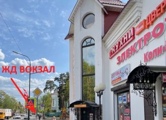 Продам торговую площадь, 335.5 м2, Ленинградская область, Всеволожский проспект, 52/95