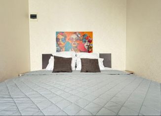 Сдается однокомнатная квартира, 35 м2, Ростов-на-Дону, улица Ерёменко, 103