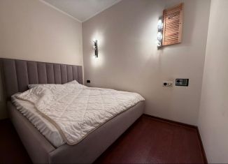 Сдается 1-комнатная квартира, 45 м2, Татарстан, улица Адоратского, 3Б