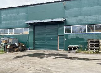 Сдается в аренду производство, 1200 м2, Ленинградская область, Промышленная улица, 5