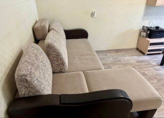 Сдаю в аренду 2-ком. квартиру, 60 м2, Новосибирск, улица Бориса Богаткова, 169, Октябрьский район