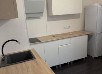 Однокомнатная квартира в аренду, 35 м2, Санкт-Петербург, проспект Будённого, 21к1, Красносельский район