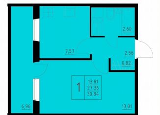 1-комнатная квартира на продажу, 30.8 м2, Пермь