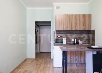 Продам квартиру студию, 19.7 м2, Мурино, Воронцовский бульвар, 21к2, ЖК Мой Мир