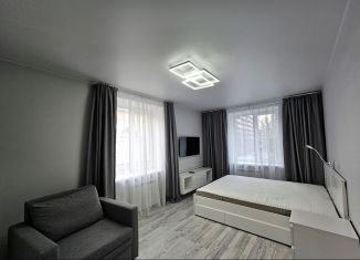 Сдаю в аренду однокомнатную квартиру, 33 м2, Санкт-Петербург, набережная Обводного канала, 165