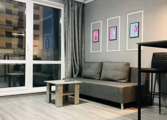 Сдается в аренду квартира студия, 28 м2, Ижевск, улица 10 лет Октября, 64Ак2