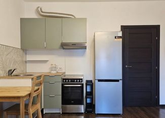 Продаю квартиру студию, 25.3 м2, Санкт-Петербург, Плесецкая улица, 20к1, ЖК Чистое Небо