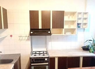 Сдача в аренду двухкомнатной квартиры, 60 м2, Санкт-Петербург, 4-я Красноармейская улица, 6