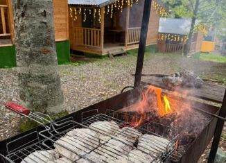 Сдается дом, 45 м2, село Архыз