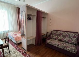 Квартира в аренду студия, 32 м2, Санкт-Петербург, Заозёрная улица, 8