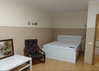 Сдаю однокомнатную квартиру, 37 м2, Санкт-Петербург, проспект Просвещения, 12к1