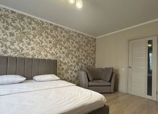 Сдается в аренду 1-комнатная квартира, 43 м2, Пятигорск, улица Нежнова, 67К1