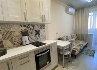 Сдается в аренду 1-ком. квартира, 29.4 м2, деревня Марьино, Жемчужная улица, 1к3