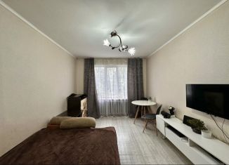 1-комнатная квартира на продажу, 31.3 м2, Киров, Ульяновская улица, 22