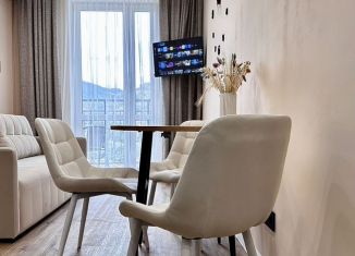 Однокомнатная квартира в аренду, 40.1 м2, Сочи, улица Искры