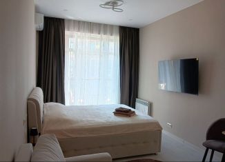 Сдам в аренду квартиру студию, 30 м2, посёлок городского типа Дагомыс