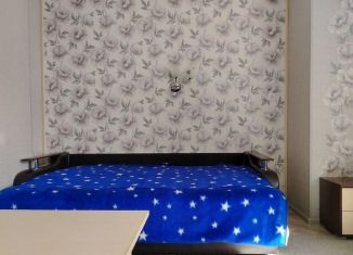 Сдается 1-ком. квартира, 48 м2, Воронеж, улица Челюскинцев, 101В, ЖК Эко Дом