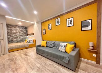 Сдам в аренду однокомнатную квартиру, 43 м2, Краснодар, Железнодорожная улица, 24, микрорайон Центральный