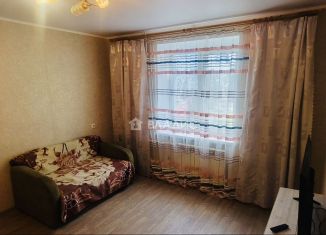 1-комнатная квартира в аренду, 20 м2, Старый Оскол, микрорайон Приборостроитель, 53