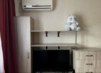 Аренда 1-комнатной квартиры, 33 м2, Краснодарский край, улица им. Героя Сарабеева В.И.