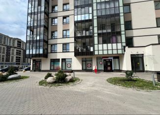 Продается торговая площадь, 66 м2, Санкт-Петербург, Комендантский проспект, 12соор1, метро Старая Деревня