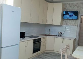 Аренда 1-комнатной квартиры, 32 м2, Краснодарский край, улица имени В.М. Комарова, 21/1к7