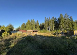 Продаю дачу, 40 м2, Карелия, Луговая улица