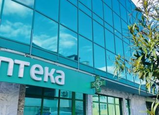 Сдаю в аренду квартиру студию, 20 м2, село Небуг, Центральная улица, 5Г