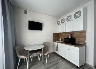 Сдам квартиру студию, 28 м2, Республика Башкортостан, Бородинская улица, 11/1