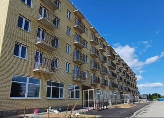 Продажа однокомнатной квартиры, 29.8 м2, рабочий посёлок Шексна, улица Труда, 31