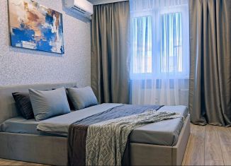 Сдаю однокомнатную квартиру, 40 м2, Липецк, улица И.В. Свиридова, 26