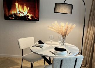 Аренда квартиры студии, 32 м2, Санкт-Петербург, проспект Тореза, 100