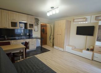 Аренда квартиры студии, 26 м2, Санкт-Петербург, улица Коммунаров, 190