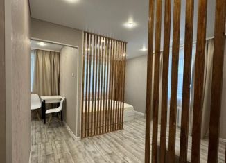 Сдача в аренду 1-комнатной квартиры, 27 м2, Благовещенск, улица Ломоносова, 160