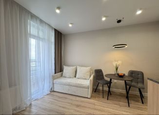 Продаю 1-ком. квартиру, 33 м2, Тюмень, улица Фармана Салманова, 23