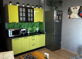 Аренда квартиры студии, 29 м2, Мурино, Воронцовский бульвар, 6, ЖК Гринландия