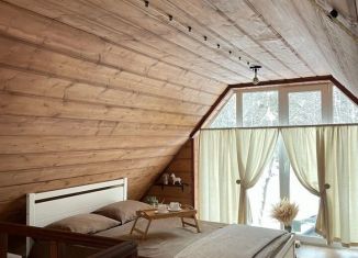 Сдача в аренду дома, 40 м2, Пермь, улица Фрунзе, 100