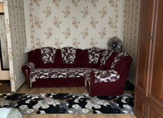 Продаю 1-комнатную квартиру, 30.7 м2, Барнаул, улица Антона Петрова, 142