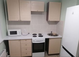 Сдача в аренду 1-ком. квартиры, 38.5 м2, поселок Зональная Станция, улица Королёва, 16Б