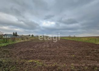 Продам земельный участок, 10 сот., деревня Новые Ерыклы